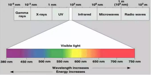 簡單來說| X-ray到底是什么？